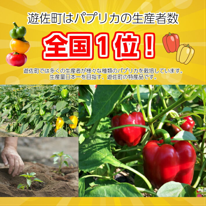 【ふるさと納税】パプリカアラカルト 2kg 山形県遊佐産 2026年7月上旬～11月下旬頃お届け ※着日指定不可 野菜 パプリカ 東北 山形県 遊佐町 庄内 夏 秋 - 画像2