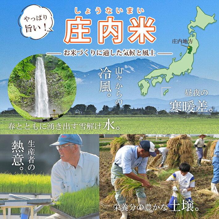 【ふるさと納税】無洗米 はえぬき 5kg 山形県庄内産 令和7年産米 ご希望の時期頃お届け 東北 山形県 遊佐町 庄内地方 庄内平野 庄内米 精米 白米 セット 阿部ベイコク - 画像2