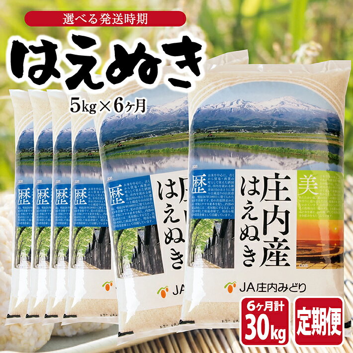 ≪6ヶ月定期便≫ はえぬき5kg×6ヶ月連続 計30kg 山形県庄内産 ご希望期間の毎月中旬頃お届け JA 農協 産地直送 精米 白米 庄内米 東北 遊佐町