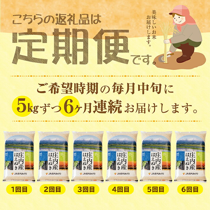 【ふるさと納税】≪6ヶ月定期便≫ はえぬき5kg×6ヶ月連続 計30kg 山形県庄内産 ご希望期間の毎月中旬頃お届け JA 農協 産地直送 精米 白米 庄内米 東北 遊佐町 サムネイル2
