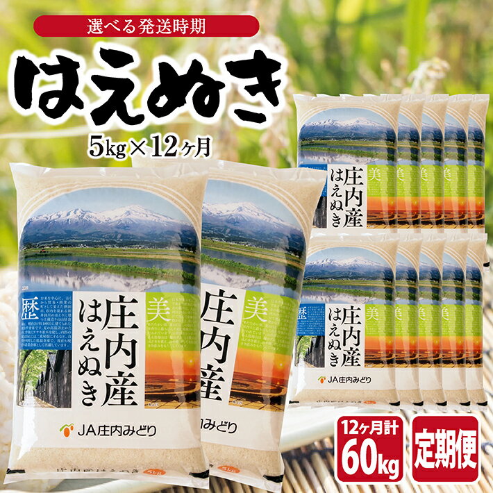 ≪12ヶ月定期便≫ はえぬき5kg×12ヶ月連続 計60kg 山形県庄内産 ご希望期間の毎月中旬頃お届け JA 農協 産地直送 精米 白米 庄内米 東北 遊佐町
