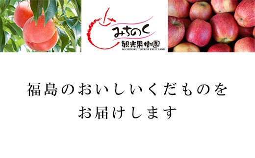 【ふるさと納税】No.0073 まぼろしのりんご「高徳（こうとく）」ご家庭用 約1.7kg【2025年度発送】 サムネイル2