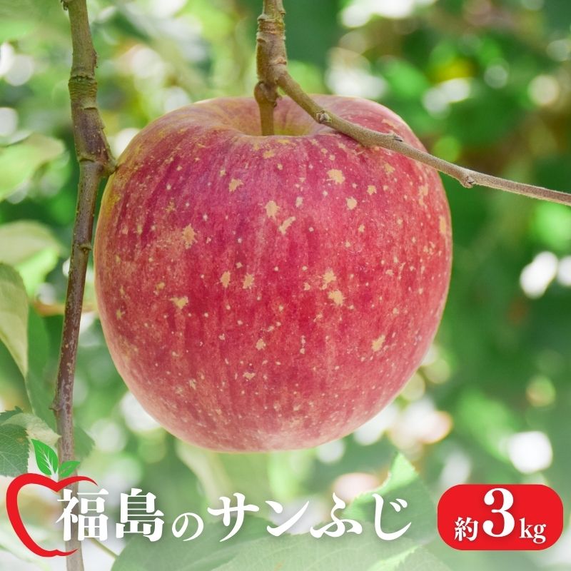 No.1471 りんご「サンふじ」約3kg【2025年度発送】