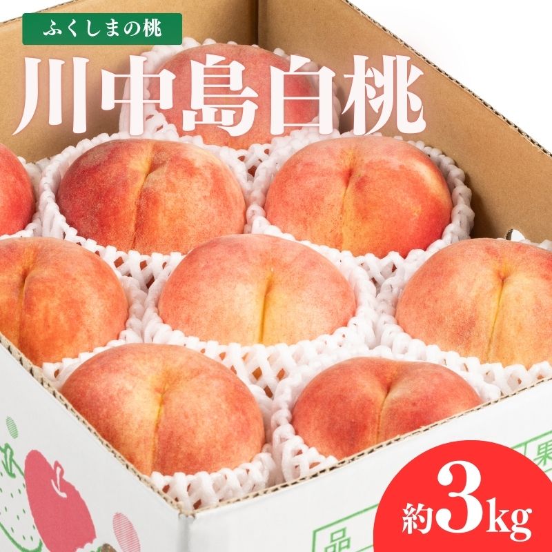 No.2153福島のもも　川中島白桃　約3kg【2026年発送 先行予約】