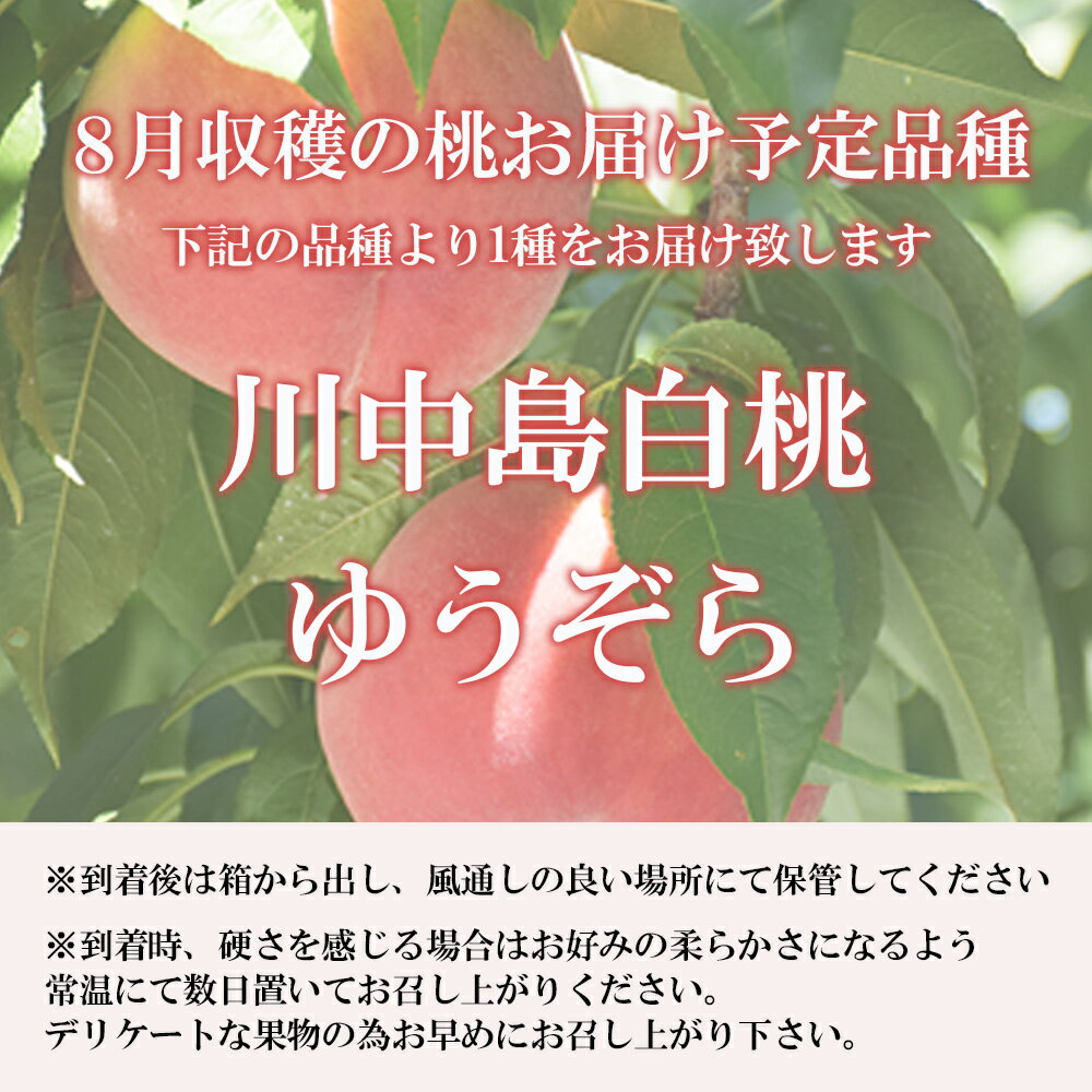 【ふるさと納税】No.2436　8月発送の桃 品種お任せ　特秀品約1kg【2026年発送】 福島県 福島市 福島 1万円以下 もも 白桃 川中島 川中島白桃 ゆうぞら 晩生 - 画像3