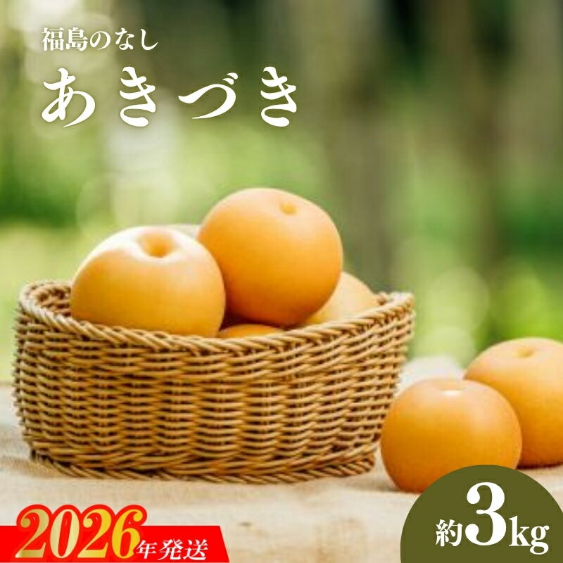 No.2782旬の特選梨 あきづき3kg【2026年発送　先行予約】