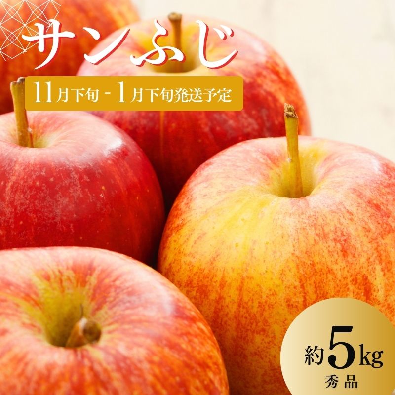 No.2966 ししどりんご園　りんご「サンふじ」約5kg 秀品【2025年度発送】