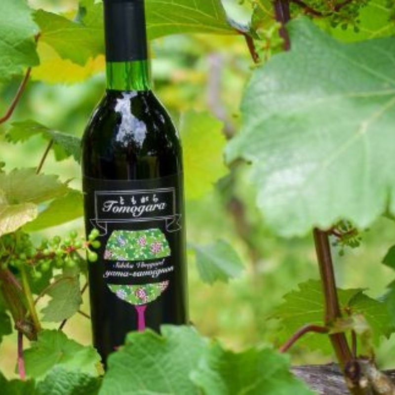 No.2137赤ワイン 完熟ヤマソーヴィニヨン2018 720ml【2025年9月中旬より発送】