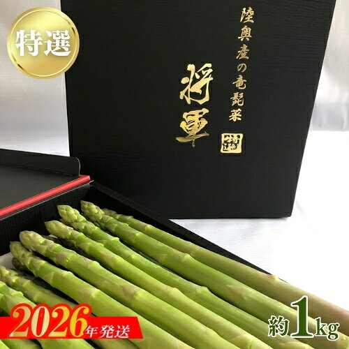 No.2152【特選】陸奥産の竜髭菜（アスパラガス）"将軍" 約1kg
