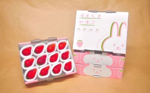 【ふるさと納税】福島市産いちご【大玉完熟とちおとめ 】雪うさぎのもぐもぐいちご 1箱12玉（約400g）2箱(約800g)【2026年1月下旬より発送】 サムネイル3