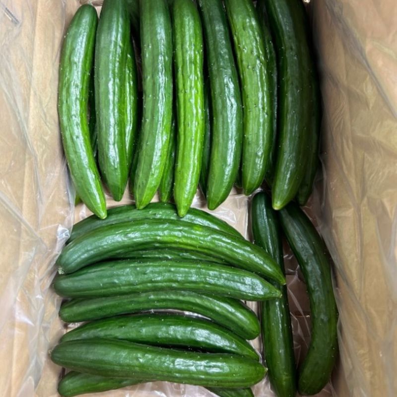 【ふるさと納税】No.2975 JGAP農家の採れたて新鮮きゅうり　約2kg C級品 サムネイル2