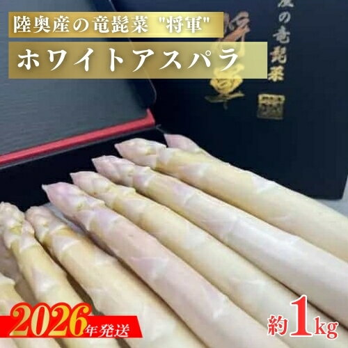No.3251【春限定】特選 陸奥産の竜髭菜ホワイトアスパラ　約1kg【2026年発送 先行予約】