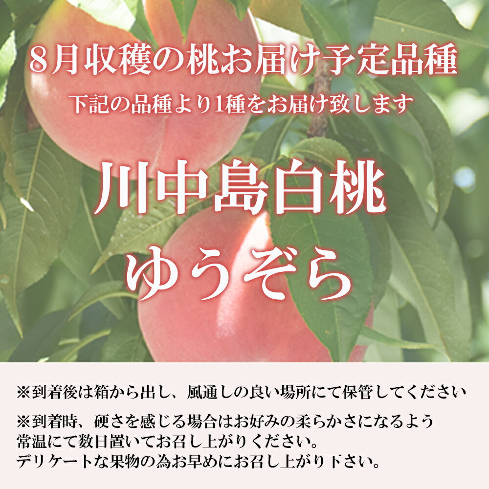 【ふるさと納税】No.2425　8月発送の桃　特秀品約1.7kg【2026年発送】 サムネイル3