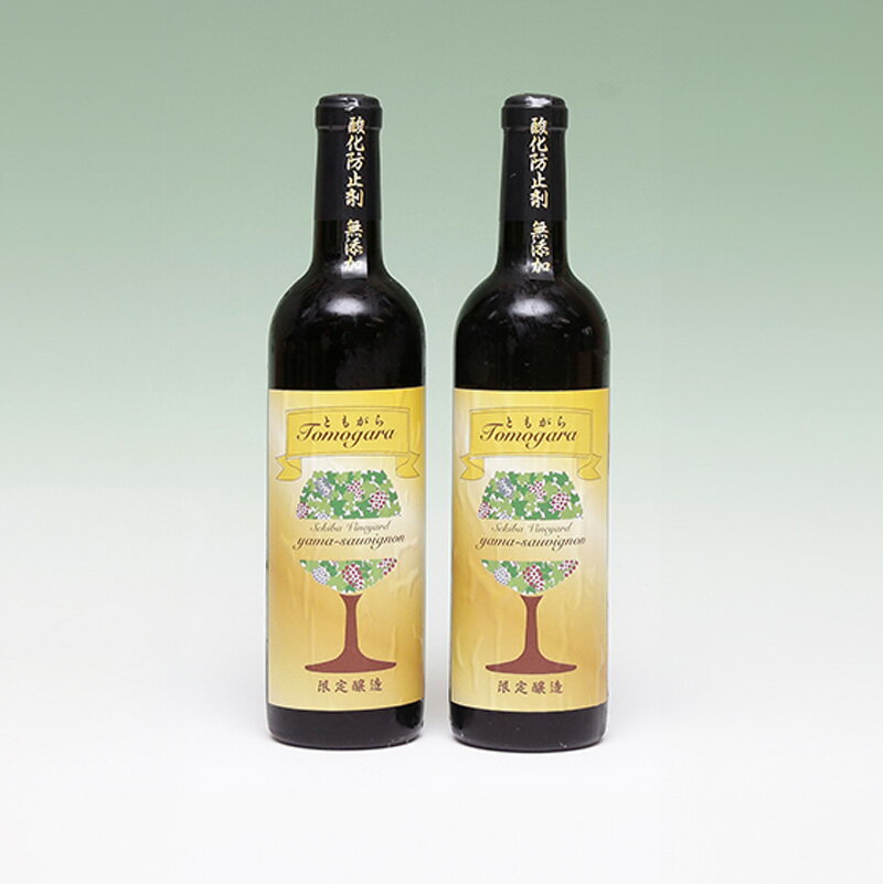 No.2844赤ワインともがら2022 無濾過無添加 720ml×2【2025年9月中旬より発送】