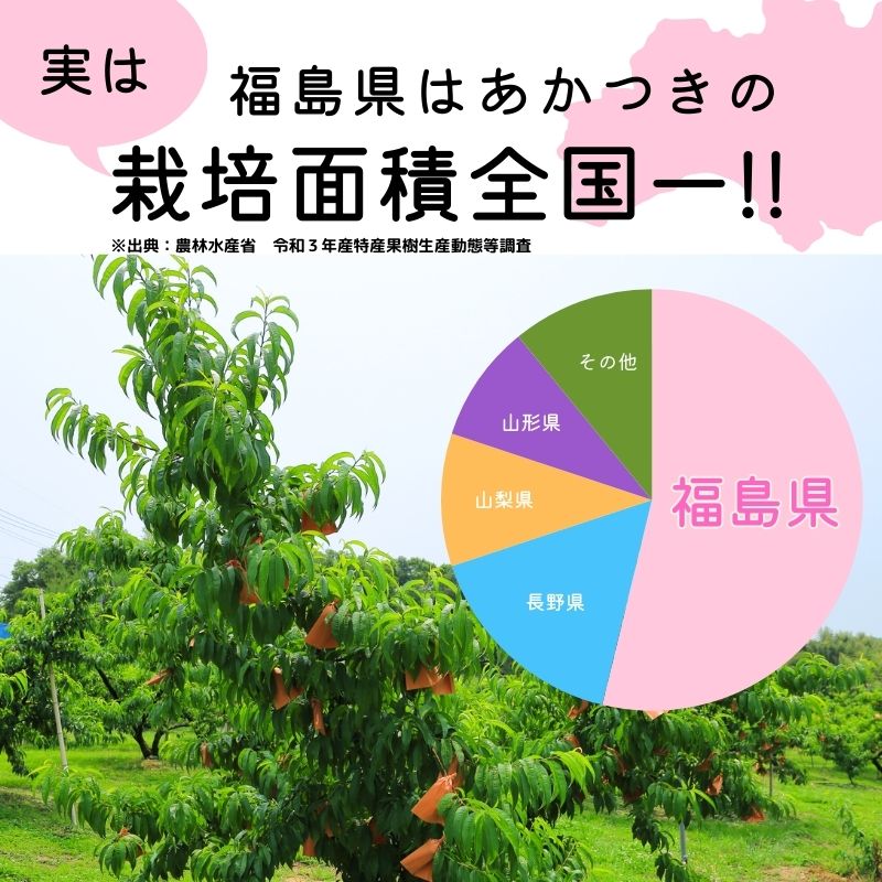 【ふるさと納税】もも 「あかつき」 ご家庭用　約4.7kg 約2.7kg 【2026年発送　先行予約】 サムネイル3