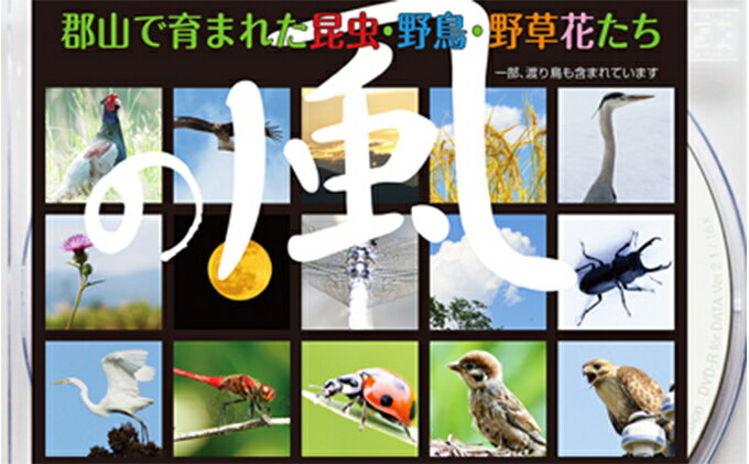 【ふるさと納税】デジタル写真素材 「の風」 本 DVD サムネイル2