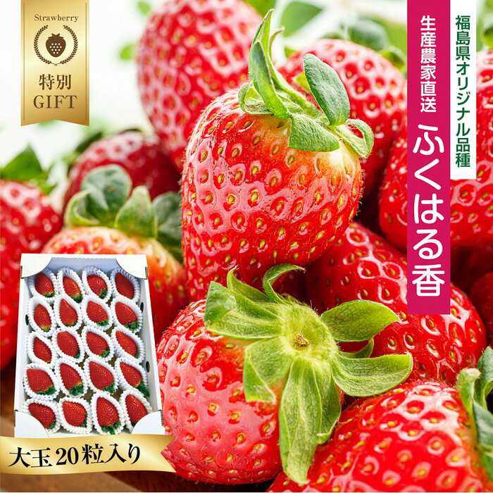 〈 先行予約 〉いわき市産 いちご ふくはる香 2026年 産地直送 数量限定 特別ギフト 大玉 約1kg 20粒入り 1箱 ｜ BB030 苺 イチゴ 令和8年度発送 果物 フルーツ デザート