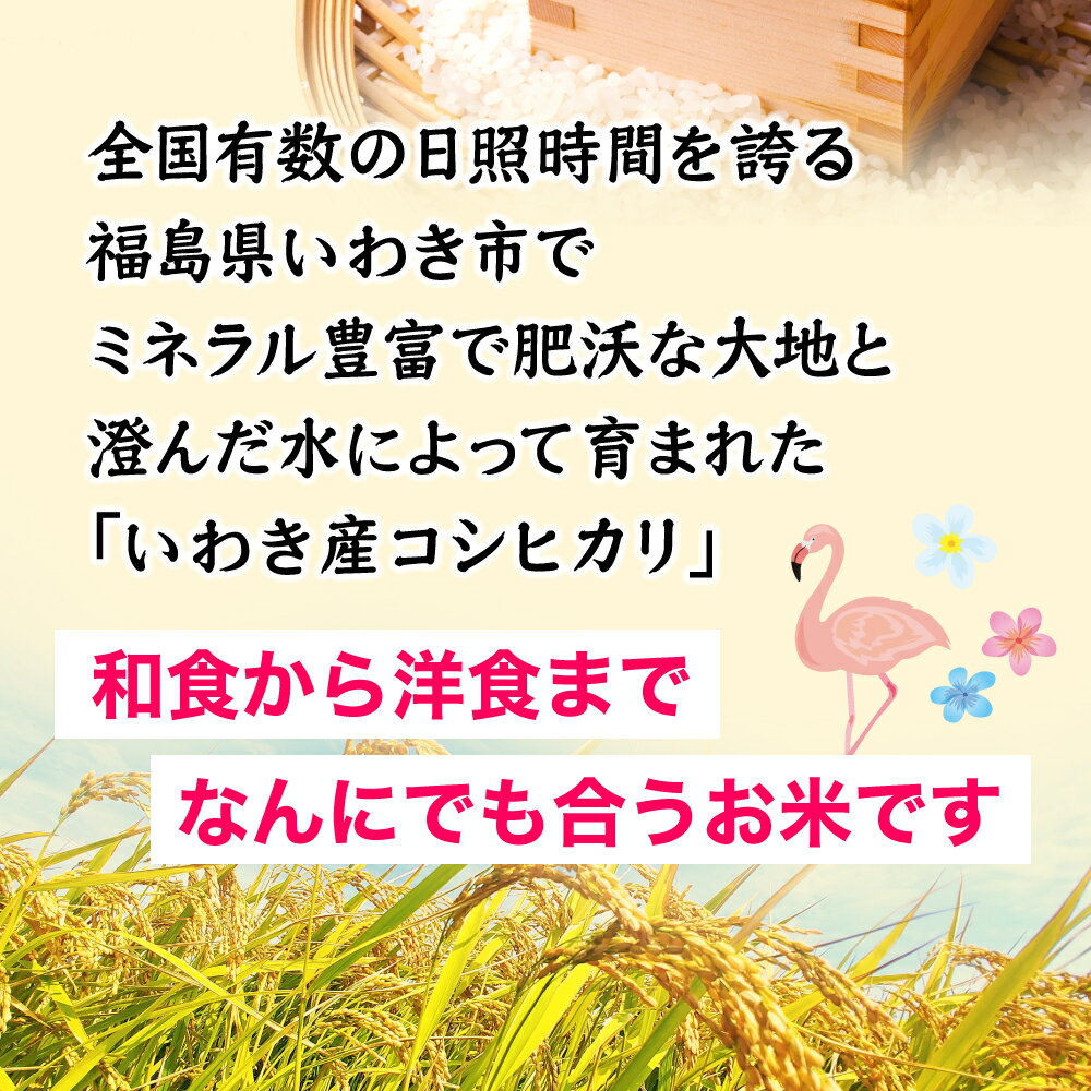 【ふるさと納税】米 令和7年 5kg 〜 25kg (5kg 袋) コシヒカリ 白米 精米 小分け いわき産100％ ブランド米 〈 Iwaki Laiki 〉こしひかり コメ こめ お米 国産 いわき 福島 5kg以上 送料無料 ハワイ イワキライキ - 画像3