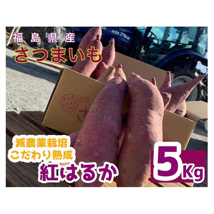 サツマイモ　紅はるか　5Kg　サイズおまかせセット | 野菜 やさい 食品 人気 おすすめ 送料無料　FV002 さつまいも