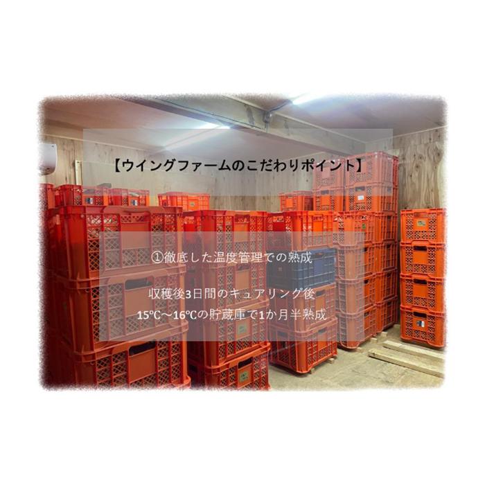 【ふるさと納税】サツマイモ　紅はるか　5Kg　サイズおまかせセット | 野菜 やさい 食品 人気 おすすめ 送料無料　FV002 さつまいも - 画像2