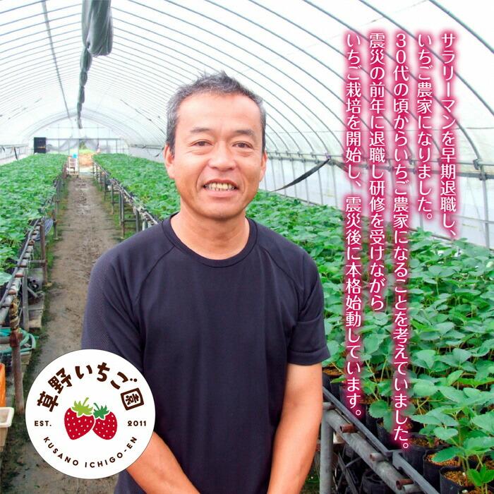 【ふるさと納税】〈 先行予約 〉2026年 産地直送 いわき市産 いちご「ふくはる香」「よつぼし」「ゆうやけベリー」「ベリーホップすず」の 食べ比べセット 1kg （250g×4パック） ｜ BB031 苺 イチゴ 令和8年度発送 果物 フルーツ デザート 食べ比べ サムネイル3