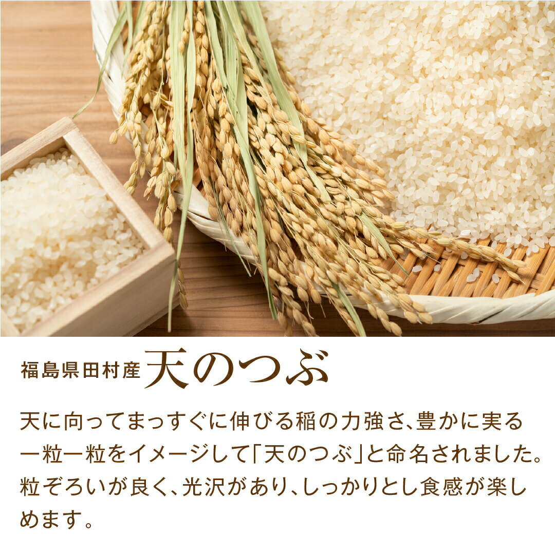 【ふるさと納税】数量限定 【令和7年産】田村産 天のつぶ 10kg ( 10kg(紙袋) × 1袋 ) 農家直送 お米 白米 精米したてを発送 贈答 米 コメ ご飯 単一米 精米 国産 おすすめ 生活応援 福島県 田村市 井堀利男 - 画像2