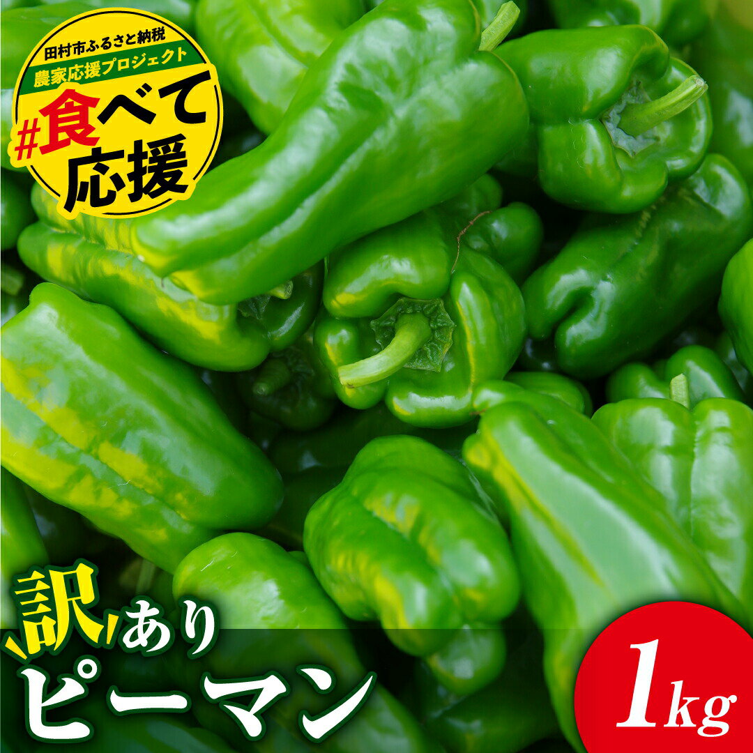 農家さん応援！ 【訳あり】 ピーマン 選べる内容量 1kg 1.5kg 2kg 3kg 5000円 9月発送 10月発送 農家直送 野菜 新鮮 BBQ 焼肉 国産 おすすめ 送料無料 緊急支援品 生活応援 コロナ支援 福島県 田村市 新田ファーム