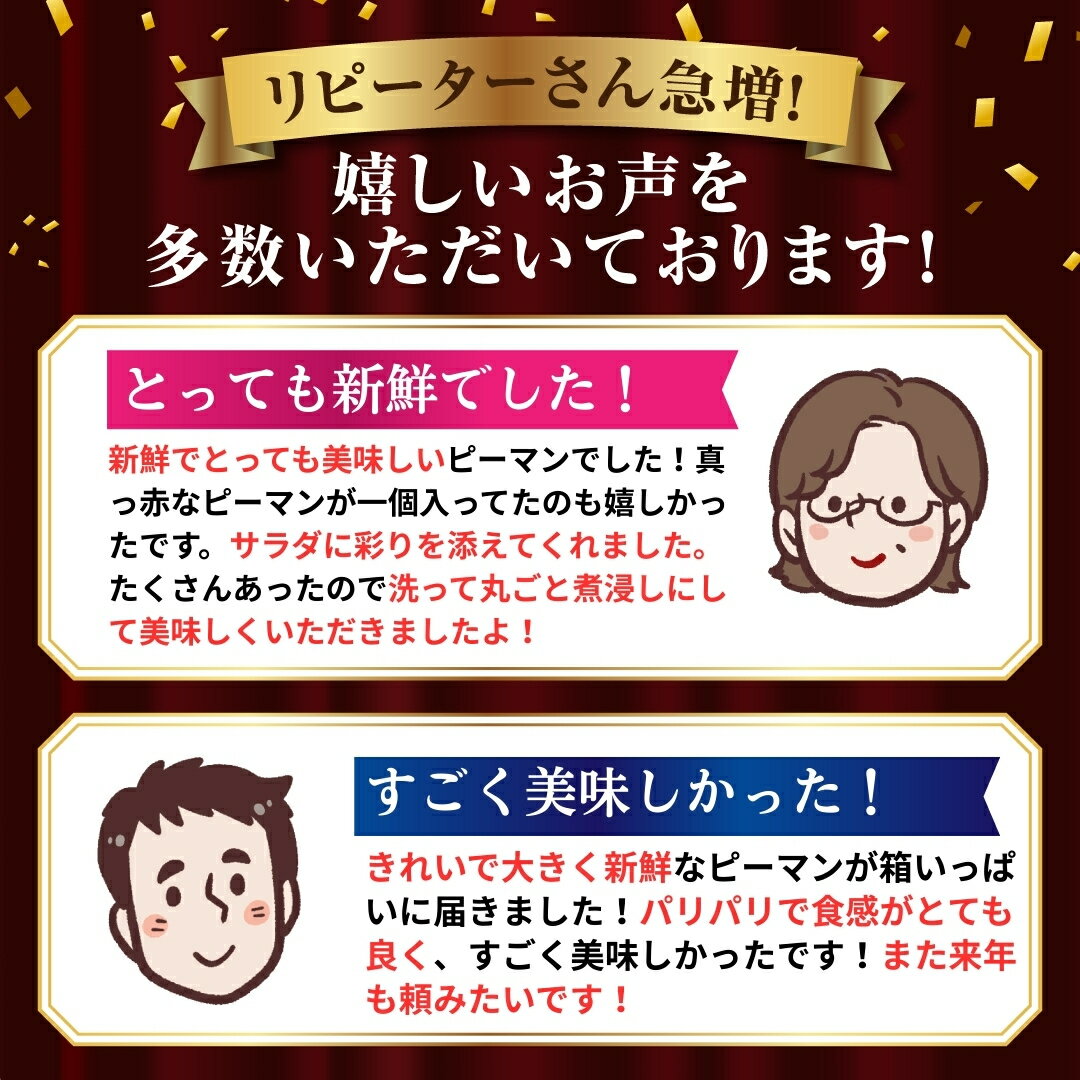 【ふるさと納税】農家さん応援！先行予約 【訳あり】 ピーマン 選べる内容量 1kg 1.5kg 2kg 3kg 5000円 6月発送 農家直送 野菜 新鮮 BBQ 焼肉 国産 おすすめ 送料無料 緊急支援品 生活応援 福島県 田村市 新田ファーム - 画像3