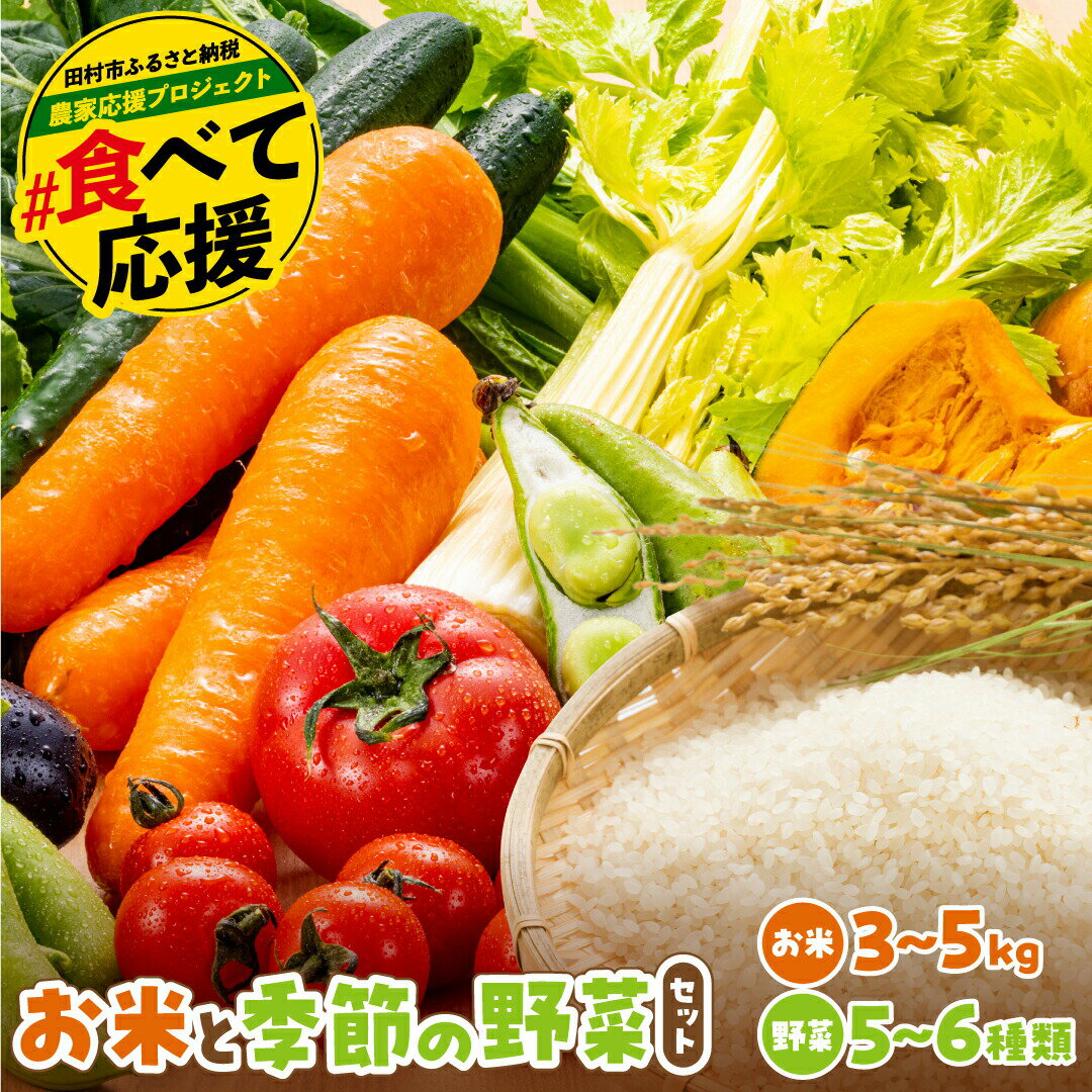 お米と季節の野菜セット 米 ひとめぼれ 3〜5kg 野菜 5〜6種類 採れたて 新鮮 農家直送 国産 ギフト 福島県 田村市 川向生産組合