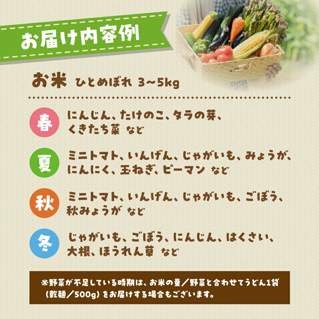 【ふるさと納税】お米と季節の野菜セット 米 ひとめぼれ 3〜5kg 野菜 5〜6種類 採れたて 新鮮 農家直送 国産 ギフト 福島県 田村市 川向生産組合 - 画像2