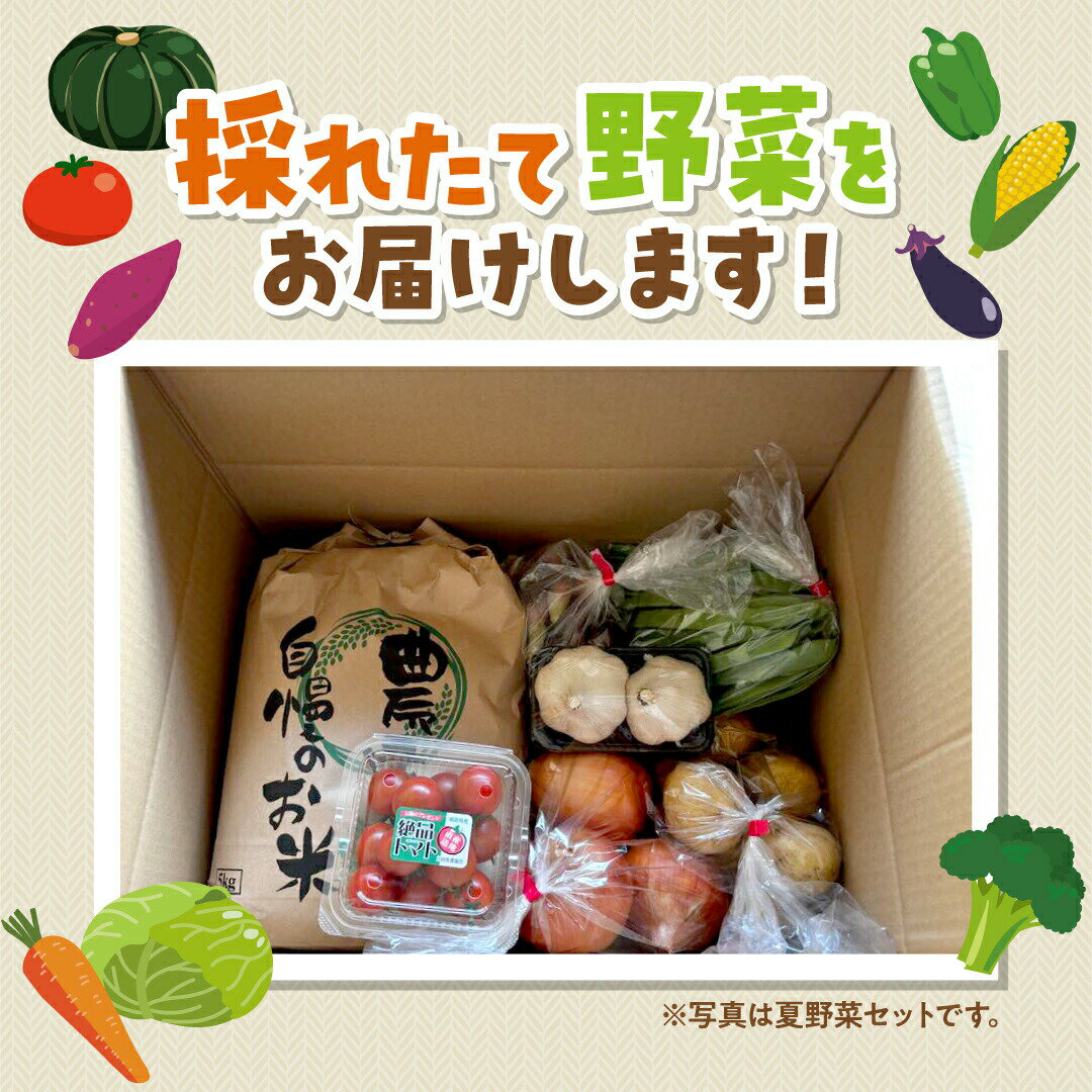 【ふるさと納税】お米と季節の野菜セット 米 ひとめぼれ 3〜5kg 野菜 5〜6種類 採れたて 新鮮 農家直送 国産 ギフト 福島県 田村市 川向生産組合 - 画像3