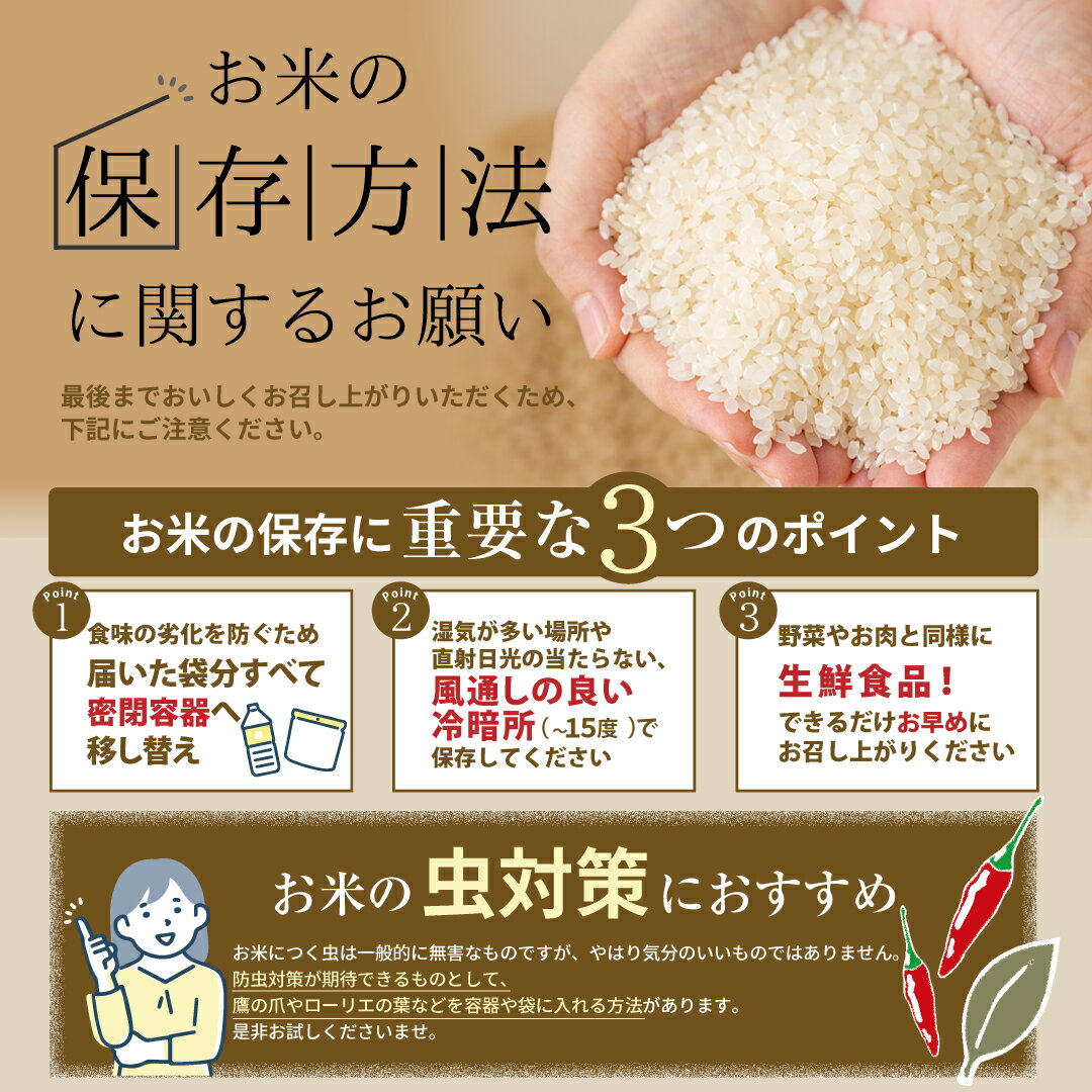 【ふるさと納税】数量限定 【令和7年産】田村産 天のつぶ 10kg ( 10kg(紙袋) × 1袋 ) 農家直送 お米 白米 精米したてを発送 贈答 米 コメ ご飯 単一米 精米 国産 おすすめ 生活応援 福島県 田村市 井堀利男 - 画像3