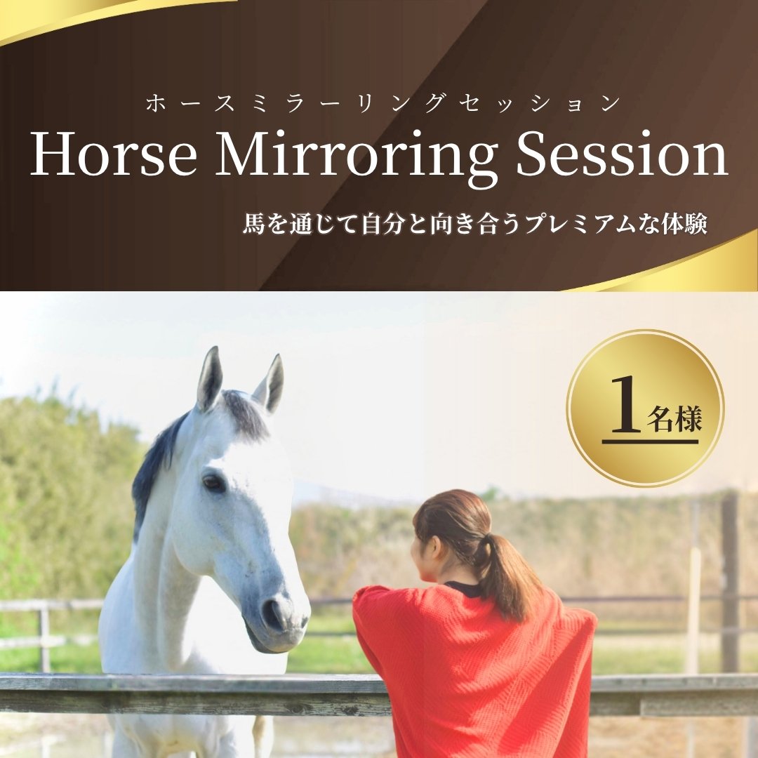 ホースミラーリングセッション 1名様 ｜ 乗馬 馬とのふれあい 研修 自己研鑽 自己内省 チームビルディング【148563-001】