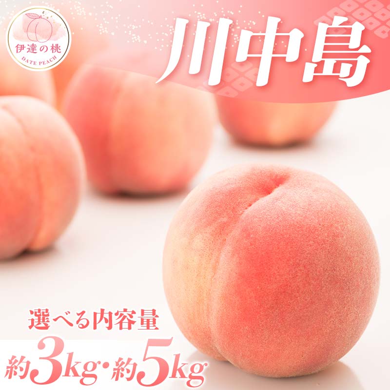 ＼数量が選べる／【2026年出荷分先行予約】福島県産 川中島白桃 約3kg 約5kg ふくしま未来農業協同組合 特秀 透過式光センサー選別 白桃 大玉 伊達の桃 桃 フルーツ 果物 もも モモ momo F20C-126var