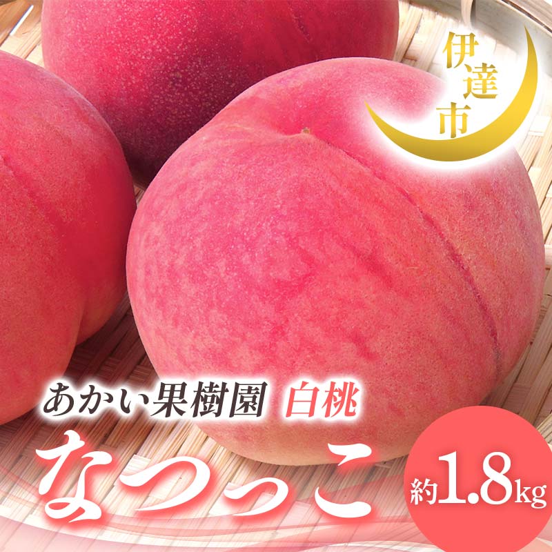 【2026年出荷分先行予約】福島県産 なつっこ 約1.8kg (6～10玉) あかい果樹園 桃 贈り物 贈答 ギフト 伊達の桃 桃 フルーツ 果物 もも モモ momo F21C-004