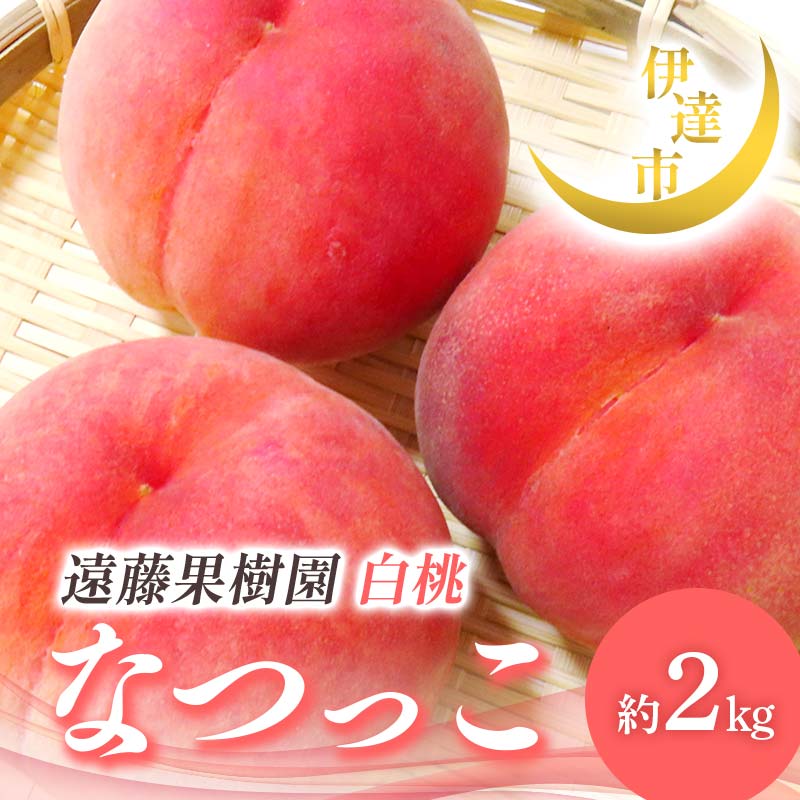 【2026年出荷分先行予約】福島県産 なつっこ 約2kg (5～9玉) 遠藤果樹園 贈り物 贈答 ギフト 伊達の桃 桃 フルーツ 果物 もも モモ momo F21C-006