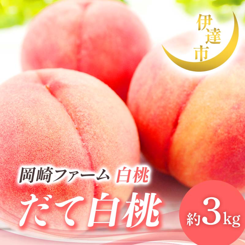 【2026年出荷分先行予約】福島県産 だて白桃 約3kg (6～10玉) 岡崎ファーム 贈り物 贈答 ギフト 伊達の桃 桃 フルーツ 果物 もも モモ momo F21C-007