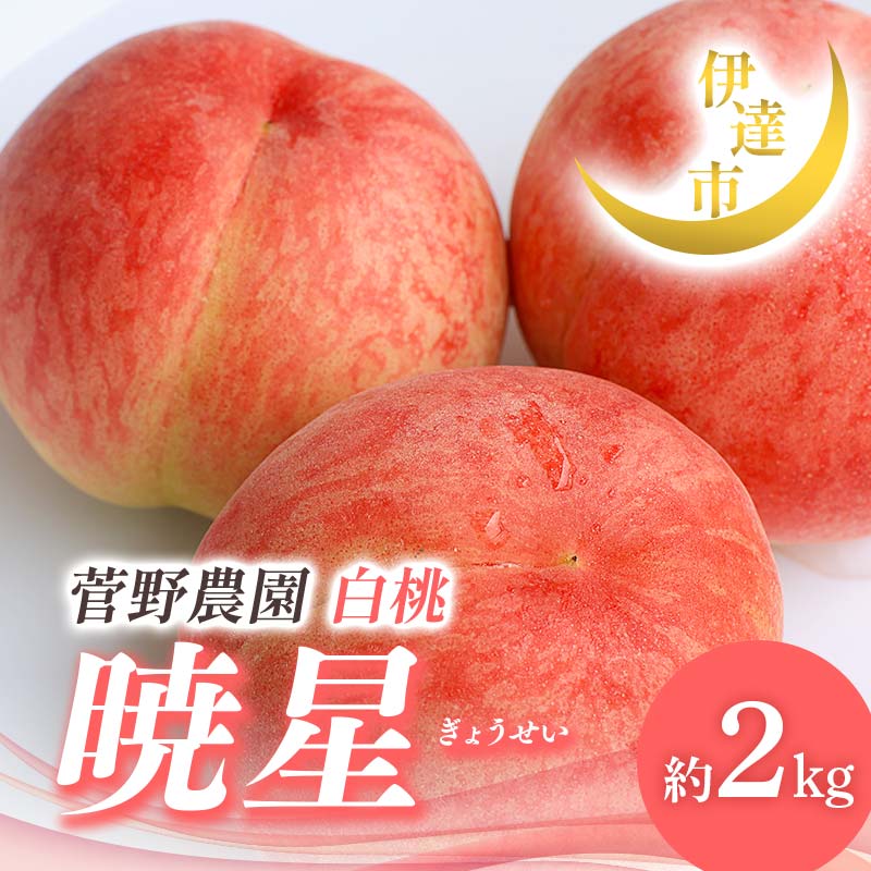 【2026年出荷分先行予約】福島県産 暁星 約2kg (5～9玉) 菅野農園FruitsProvider 贈り物 贈答 ギフト 伊達の桃 桃 フルーツ 果物 もも モモ momo F21C-013