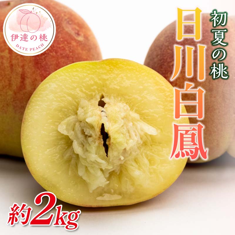 【2026年出荷分先行予約】福島県産 日川白鳳 約2kg (7～10玉) 斎藤果樹園 小桃 伊達の桃 桃 フルーツ 果物 もも モモ momo F21C-023