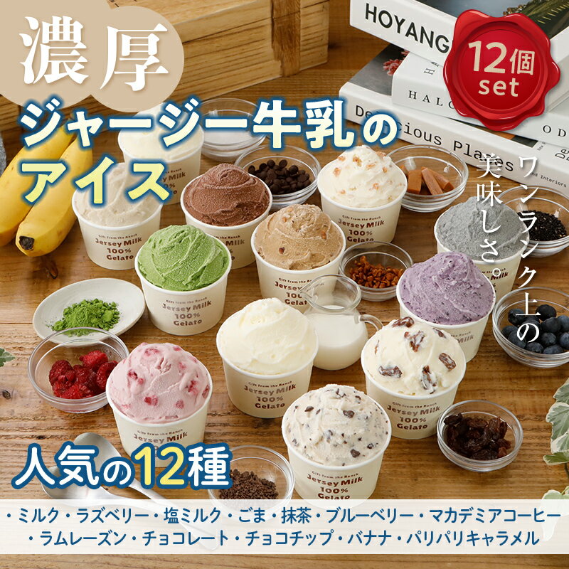 《ジャージー牛乳使用》まきばのジャージーアイス人気の12種12個セット F21C-036