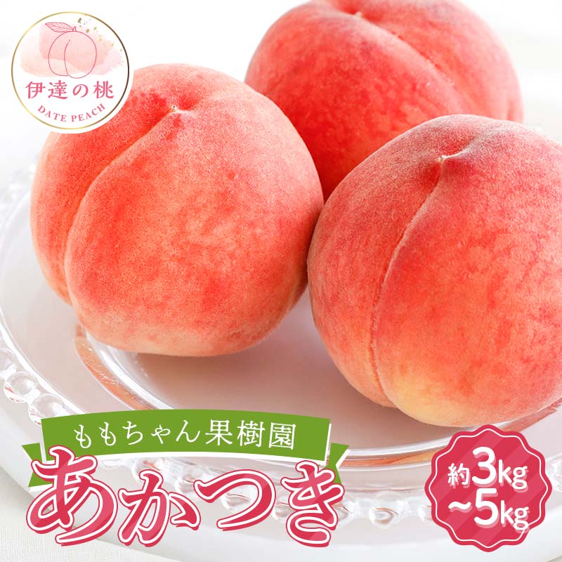 ＼選べる容量／【2026年出荷分先行予約】福島県産 あかつき 約3kg 約5kg ももちゃん果樹園 伊達の桃 桃 フルーツ 果物 もも モモ momo F21C-042var