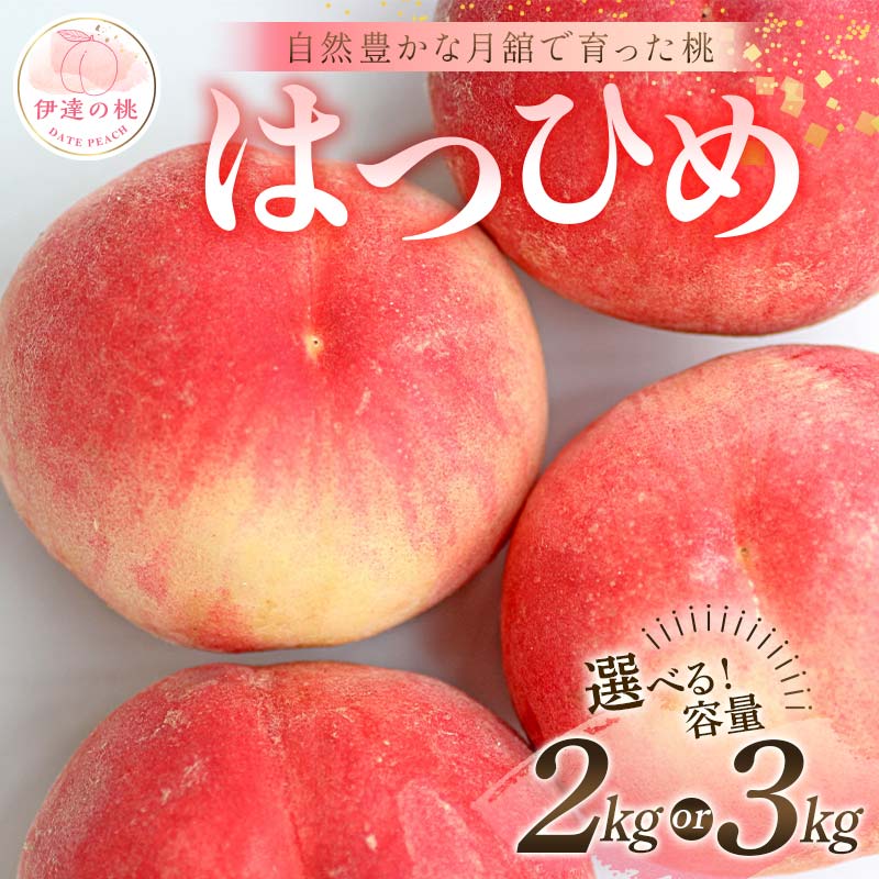＼選べる容量／【2026年出荷分先行予約】福島県産 はつひめ 約2kg 約3kg 森果樹園 自然豊かな月舘で育った桃 伊達の桃 桃 フルーツ 果物 もも モモ momo F21C-048var