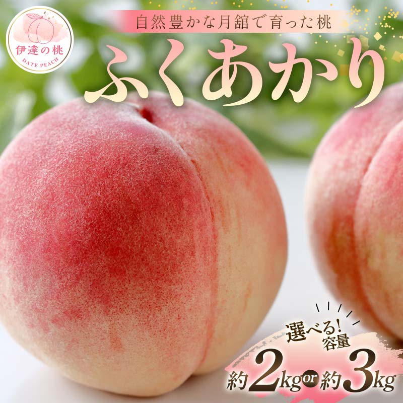 ＼選べる容量／【2026年出荷分先行予約】福島県産 ふくあかり 約2kg 約3kg 森果樹園 自然豊かな月舘で育った桃 伊達の桃 桃 フルーツ 果物 もも モモ momo F21C-050var