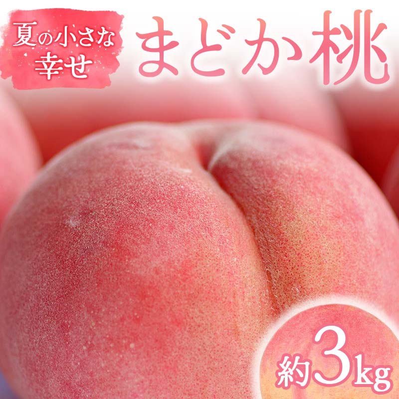 【2026年出荷分先行予約】福島県産 まどか 約3kg (9～12玉) 福島の桃農家ペシェエラ 夏の小さな幸せ 伊達の桃 桃 フルーツ 果物 もも モモ momo F21C-069