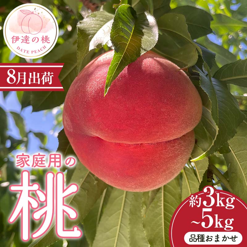 ＼選べる容量／【2026年出荷分先行予約】 福島県産 家庭用の桃 品種おまかせ 約3kg 約5kg (8月出荷分) 農業生産法人種まきうさぎ株式会社 伊達市の桃 桃 フルーツ 果物 もも モモ momo F21C-082var