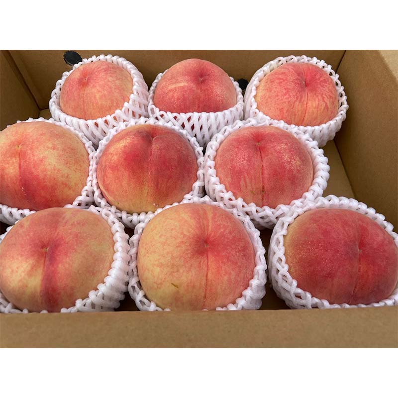 【ふるさと納税】＼選べる容量／【2026年出荷分先行予約】福島県産 あかつき 約3kg 約5kg 小野農園 3代目の女性の農家が作る桃 白桃 伊達の桃 桃 フルーツ 果物 もも モモ momo F21C-128var サムネイル2