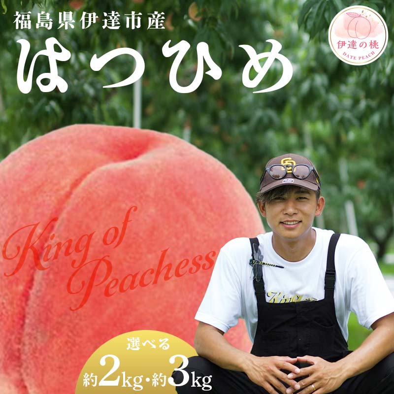 ＼選べる容量／【2026年出荷分先行予約】福島県産 はつひめ 約2kg 約3kg KING OF PEACHESS キングオブピーチ 伊達の桃 桃 フルーツ 果物 もも モモ momo F21C-133var
