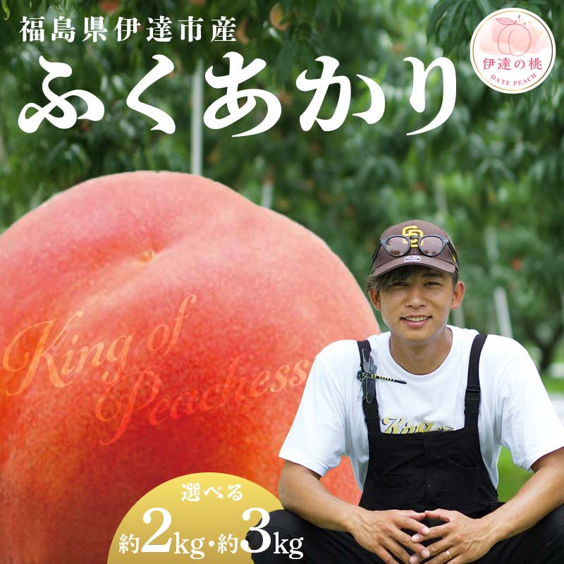 ＼容量が選べる／【2026年出荷分先行予約】福島県産 ふくあかり 約2kg 約3kg KING OF PEACHESS キングオブピーチ 伊達の桃 桃 フルーツ 果物 もも モモ momo F21C-135var