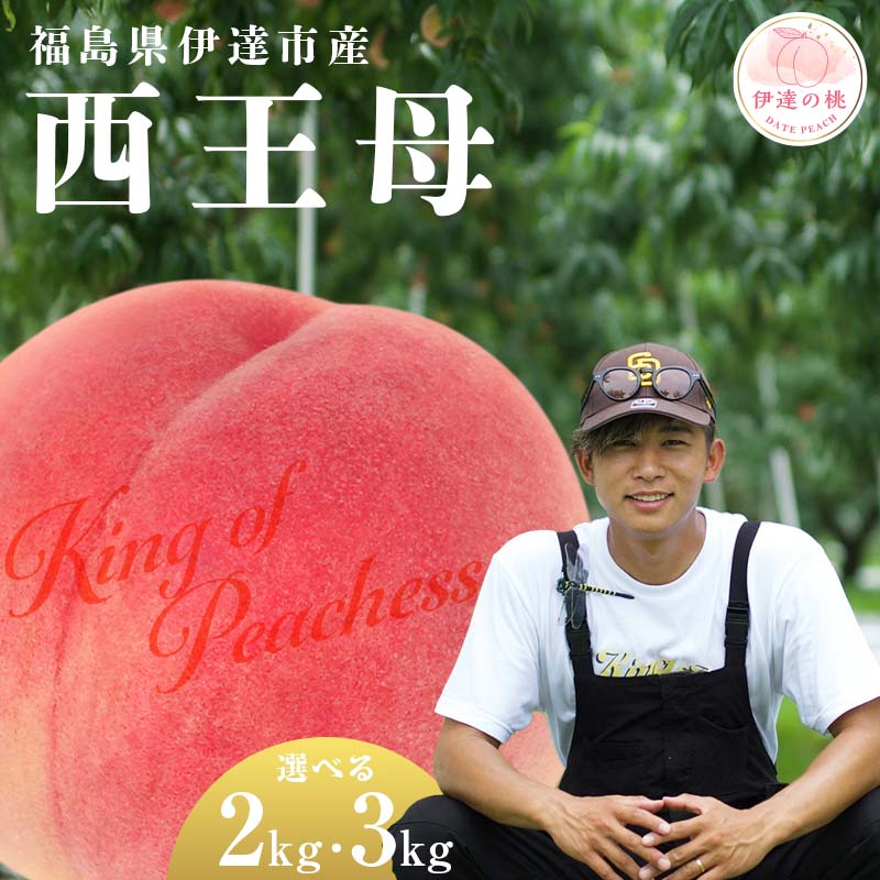 ＼容量が選べる／【2026年出荷分先行予約】福島県産 西王母 約2kg 約3kg KING OF PEACHESS キングオブピーチ 伊達の桃 桃 フルーツ 果物 もも モモ momo F21C-143var