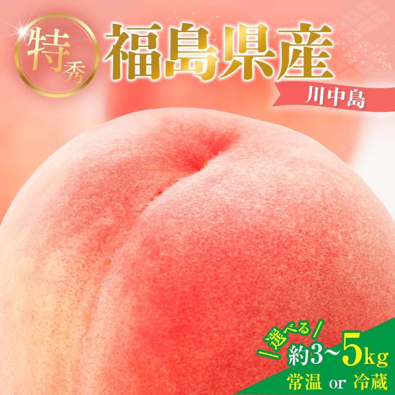 ＼選べる容量・配送方法／2026年先行予約 糖度12度以上 特秀 福島県産 川中島白桃 約3kg 約5kg 内容量が選べる 常温・冷蔵で配送が選べる 透過式光センサー選別 数量限定 期間限定 桃 もも モモ 果物 くだもの フルーツ F20C-126var